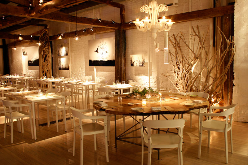 abc_kitchen_1