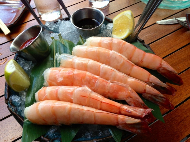 Sugarcane Miami